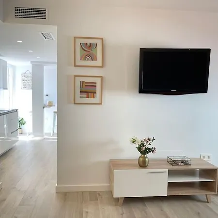 Atico Virgen Palma Apartment