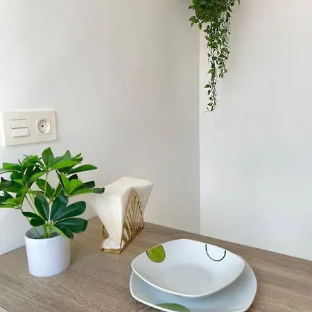 Atico Virgen Palma Apartment